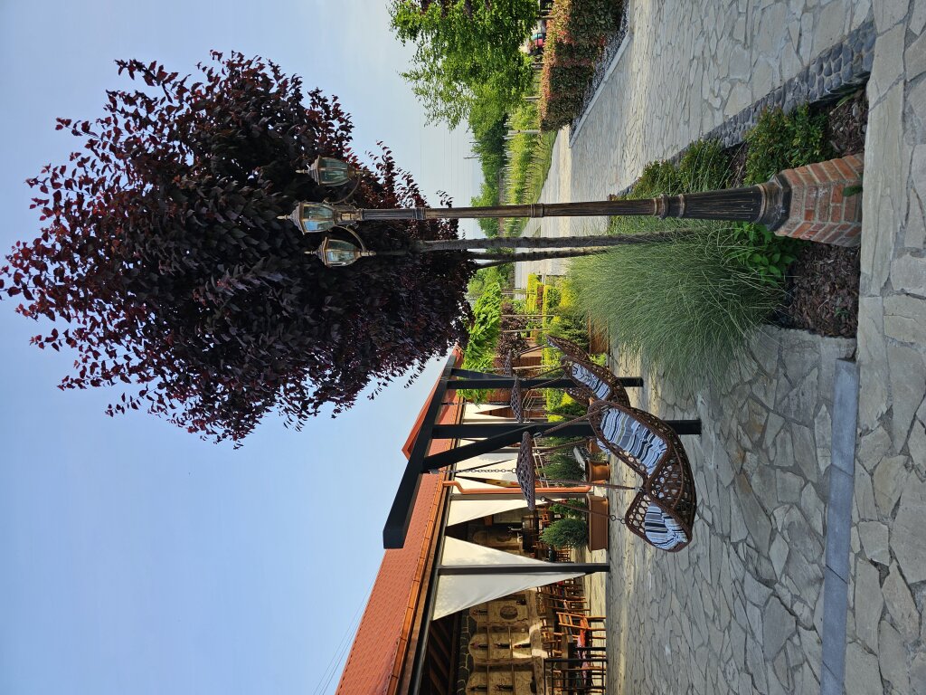 Кварели: Вилла Vitis
