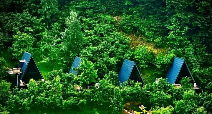 Мериси: Chalet GreenWood Cottages Merisi