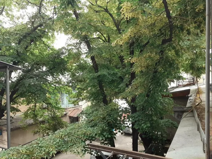 Тбилиси: Woodmood Hotel