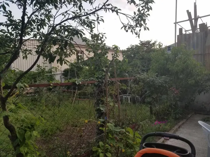 Кобулети: Zurabs Homestay