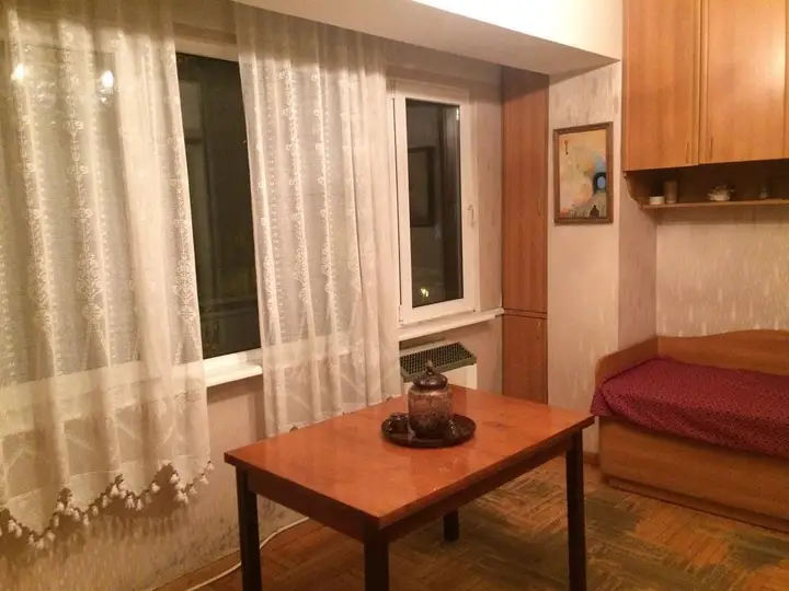 215 Shalva Nutsubidze Flat — фото 3