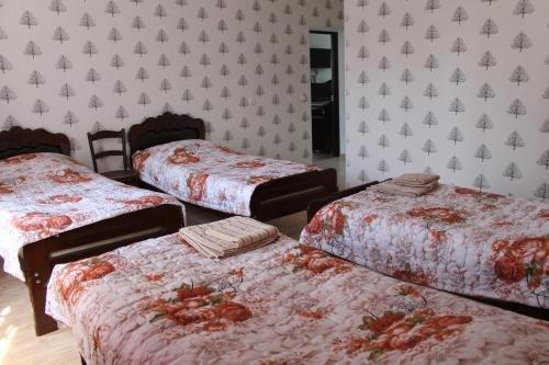 Сигнахи: Guest House Qedeli