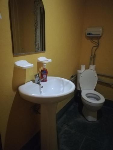 Анаклия: Guest House Dominik