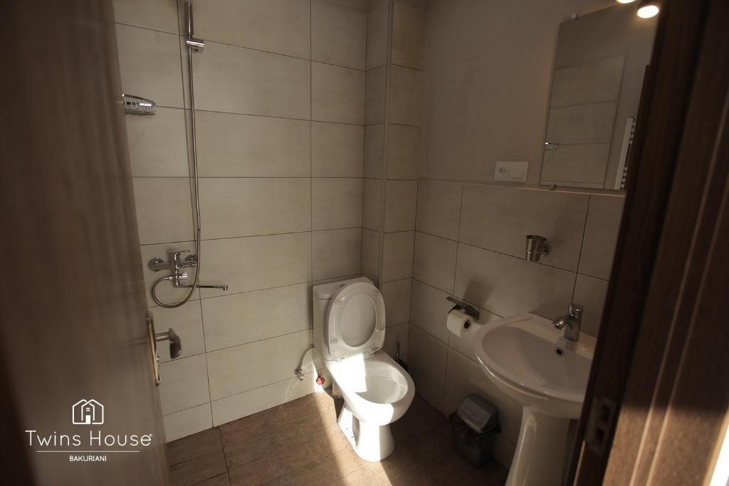 Бакуриани: Twins House Bakuriani