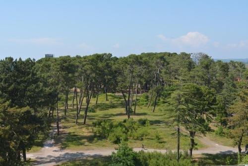 Кобулети: Kobuleti Beach Hotel
