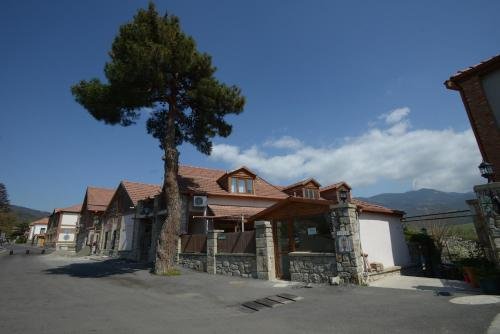 Мцхета: Hotel Cité