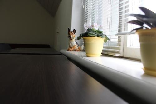 Минск: Guest House Crocus
