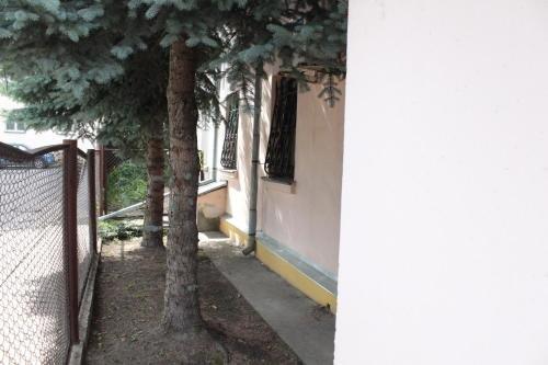 Минск: Guest House Crocus