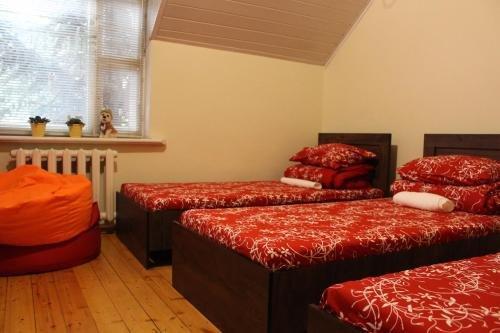 Минск: Guest House Crocus
