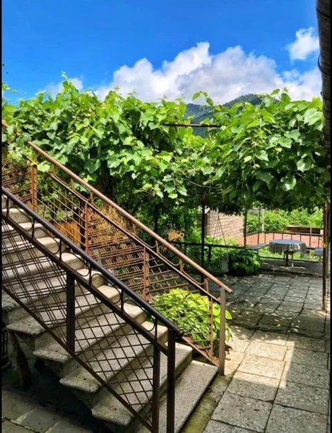 Боржоми: Achela's Guesthouse