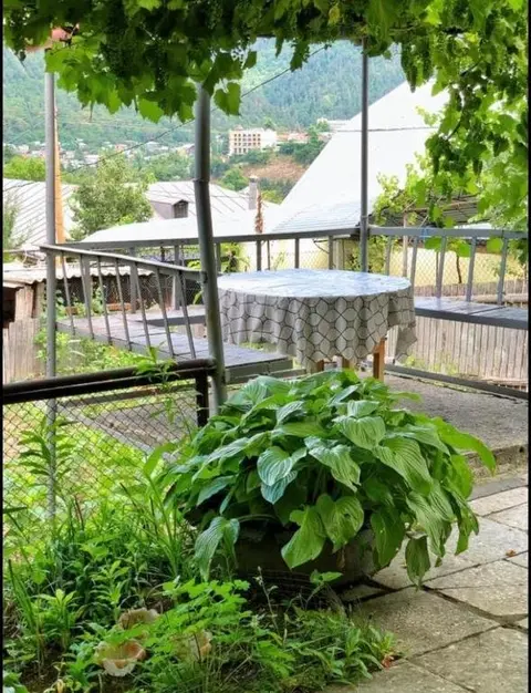 Боржоми: Achela's Guesthouse