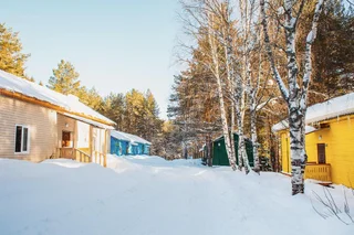 Великий Устюг: Колос