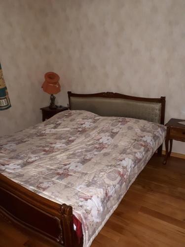 Кутаиси: Jesse Tsin's Guesthouse Kutaisi