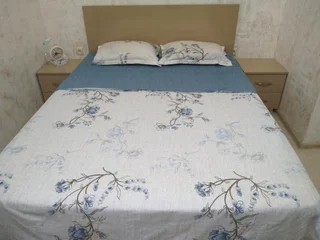 Уреки: Hotel Anna Ureki