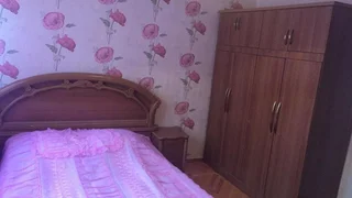 Кутаиси: Lion