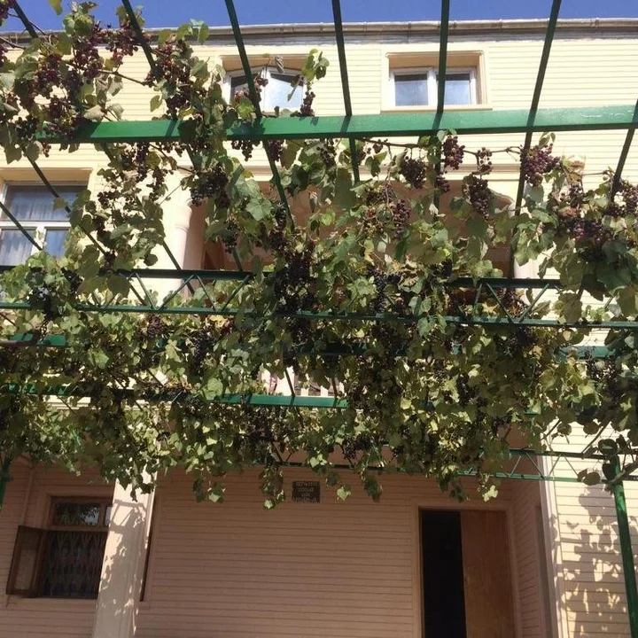 Кутаиси: Lion Penthouse