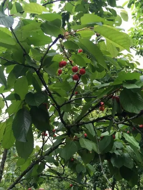 Hostel Xvamli — фото 5