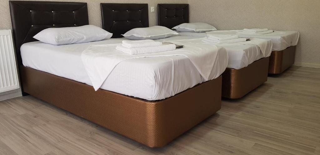 Кутаиси: Hotel Terrace Sinauri