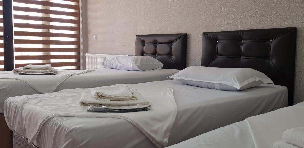 Кутаиси: Hotel Terrace Sinauri