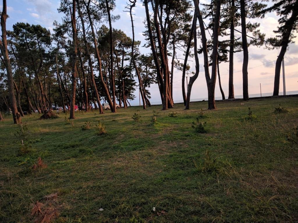Кобулети: Kobuleti Pines Resort
