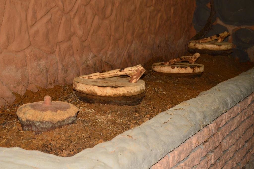 Кобулети: Kobuleti Pines Resort