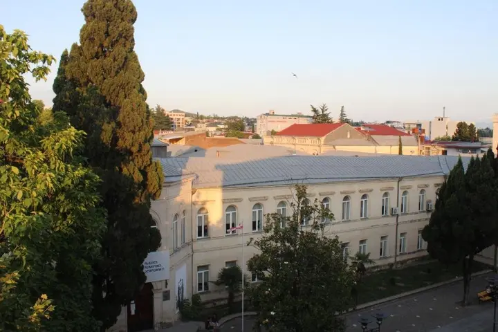 Кутаиси: Flat 51 Kutaisi