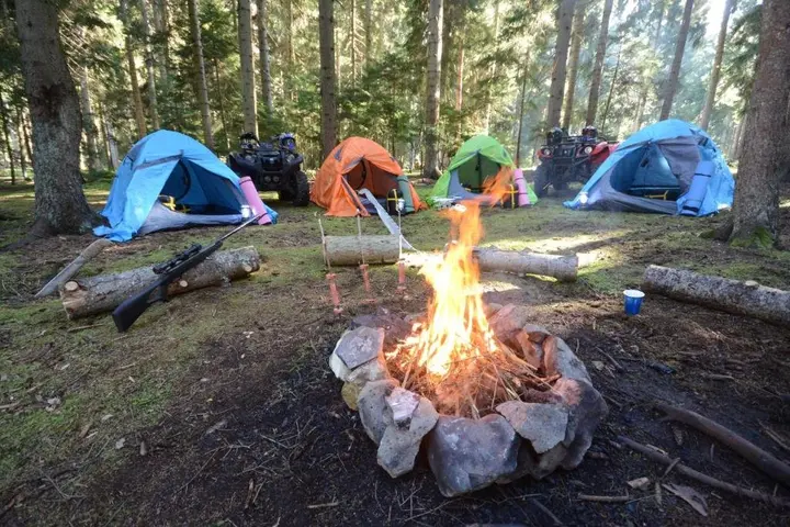 Боржоми: Guest house Likani 2017