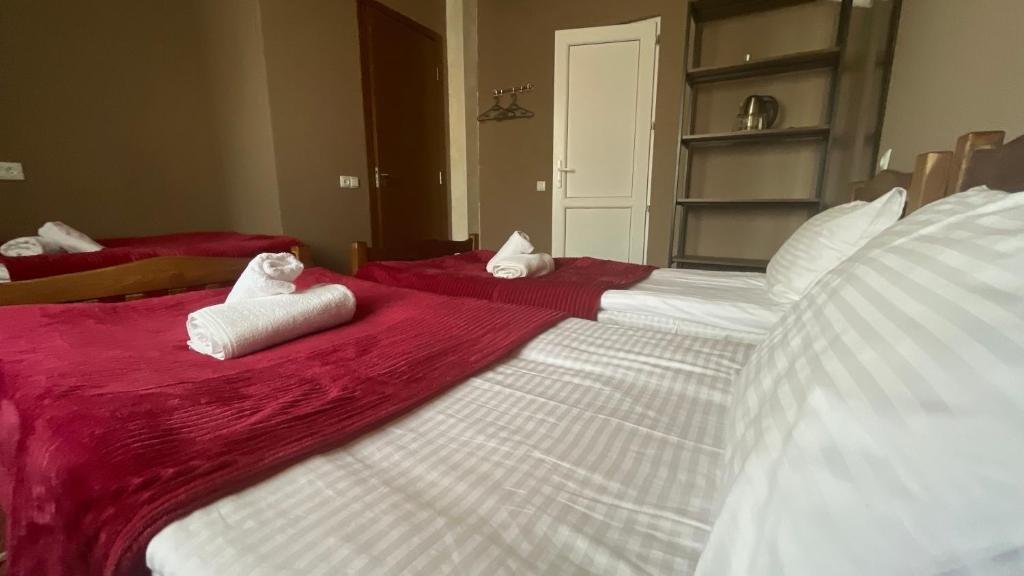 Степанцминда: Hotel Dari
