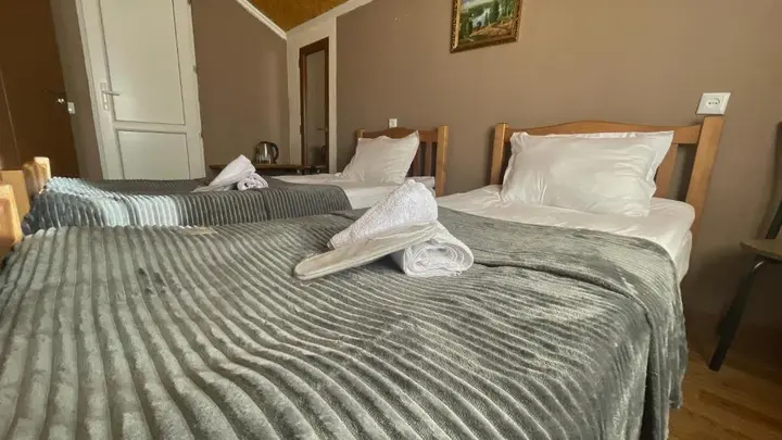 Степанцминда: Hotel Dari
