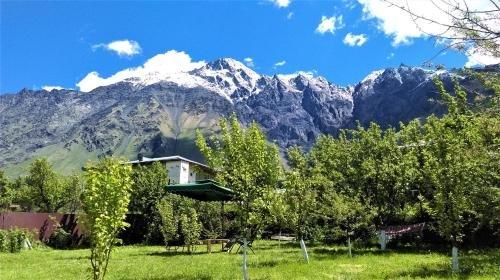 Степанцминда: Kazbegi Green Yard