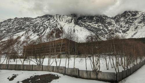 Степанцминда: Alpine Lounge Kazbegi