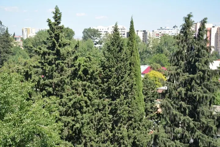 Тбилиси: Hotel L Plaza Hotel Mimino