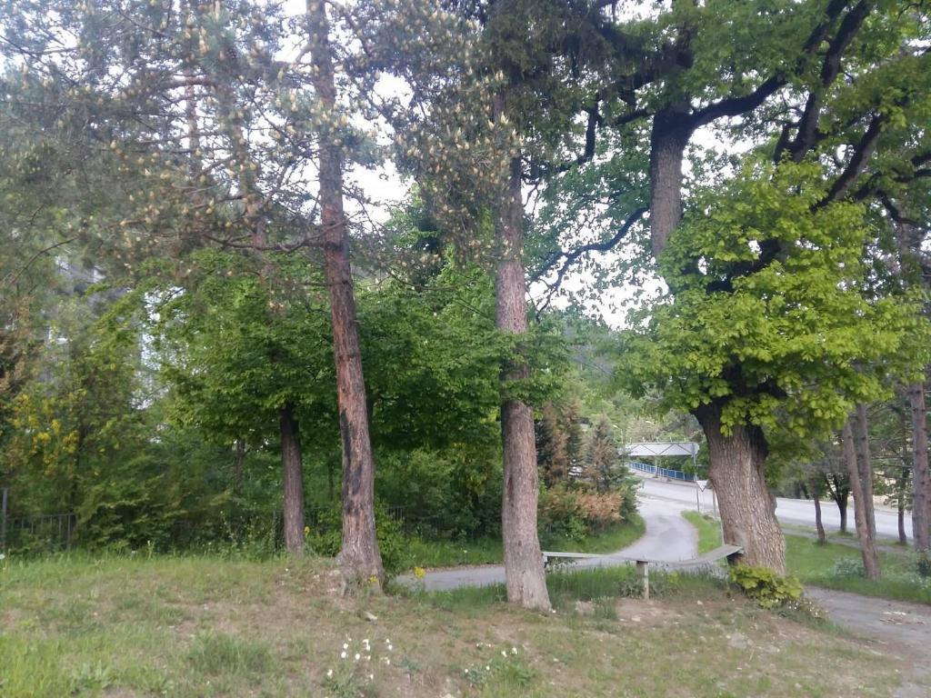 Боржоми: Guest House Lomidze