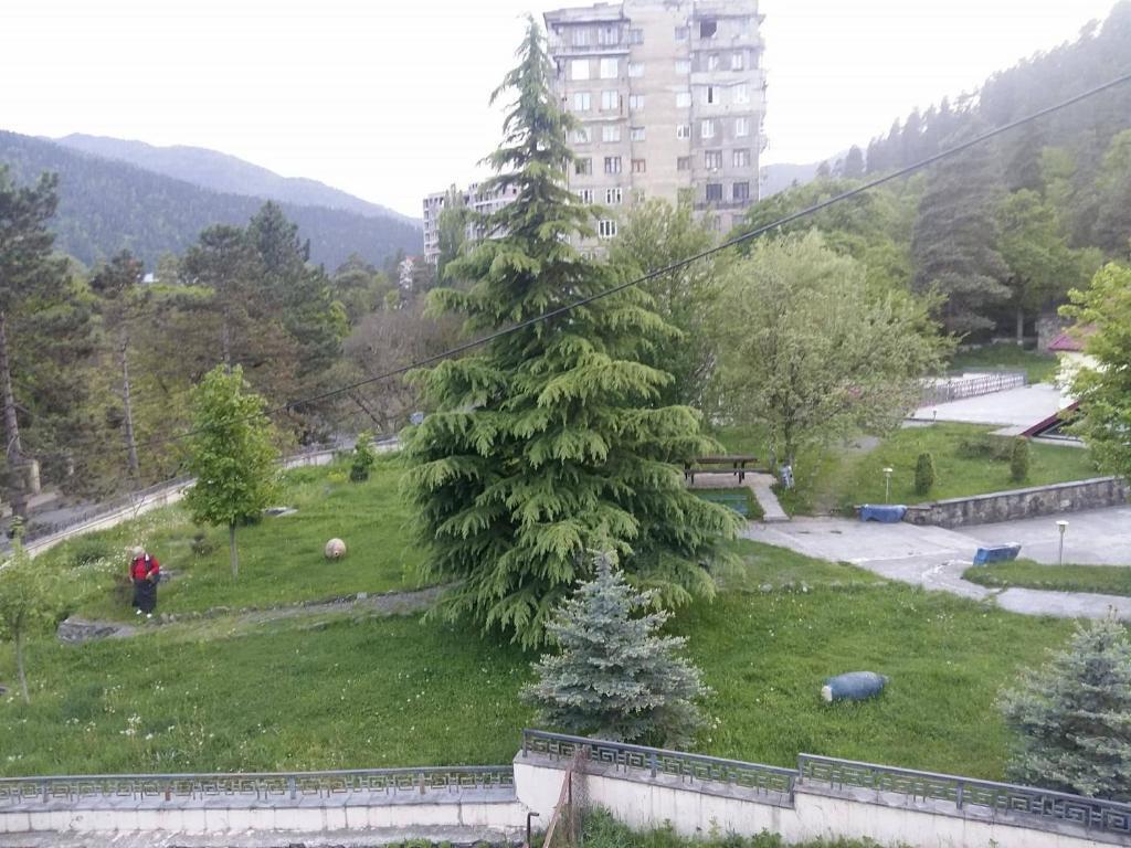 Боржоми: Guest House Lomidze