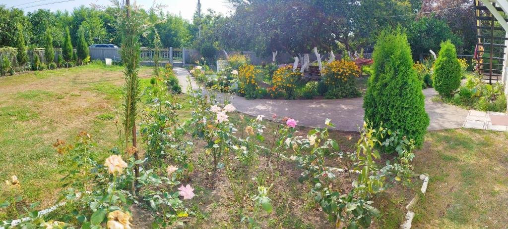Анаклия: Guesthouse Flora Anaklia