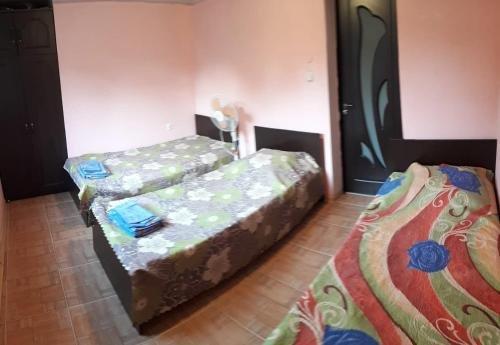Анаклия: Guesthouse Flora Anaklia