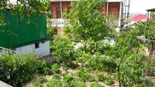Geo Guest House — фото 1