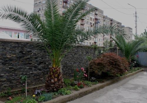 Green Guest House — фото 4
