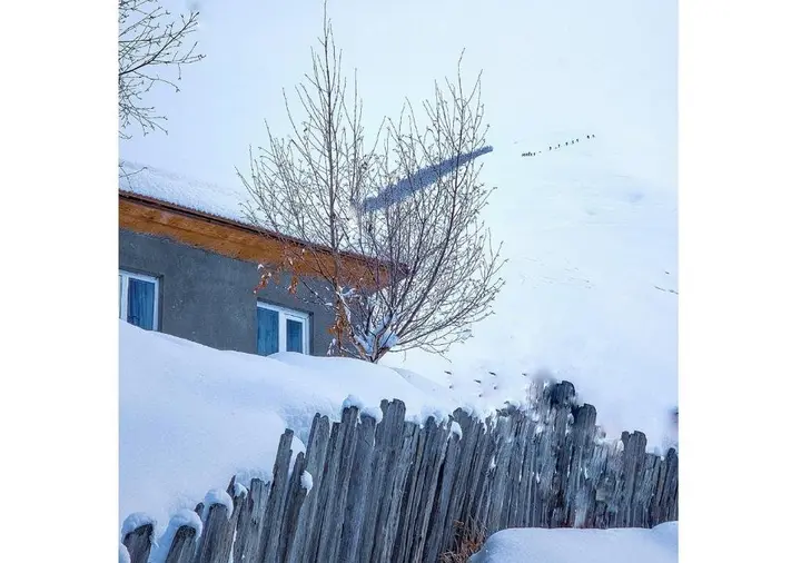 Ушгули: Guest House Data
