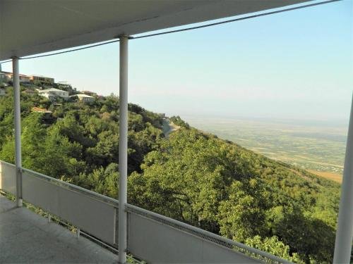 Сигнахи: Hillside Sighnaghi