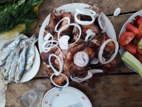 Вардзиа: Fish Hotel
