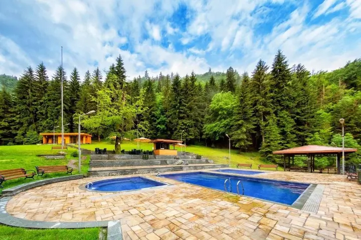 Боржоми: Guest house Lile