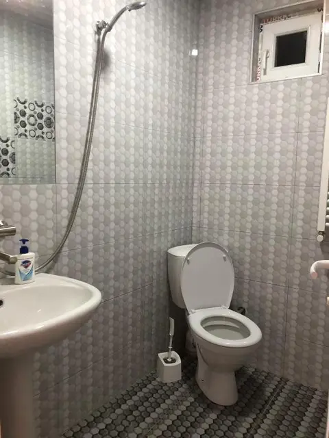 Боржоми: Guest house Lile