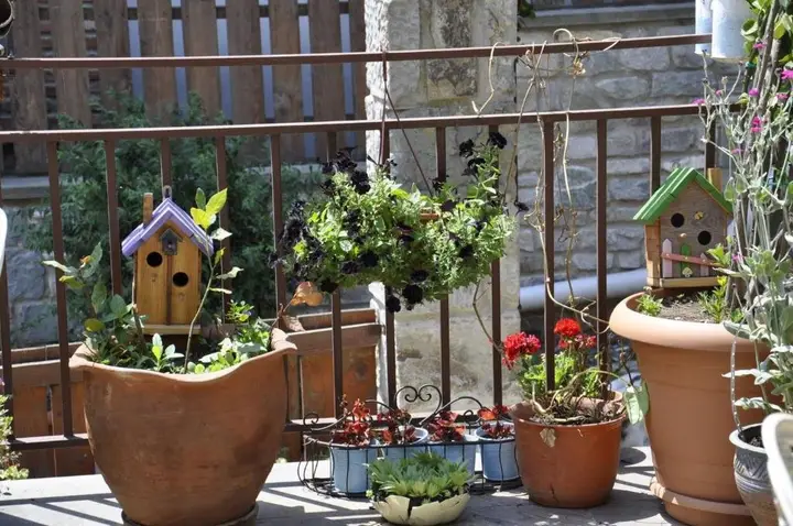 carousel image 5