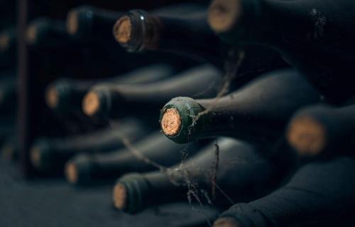 Гори: Gogi Dvalishvili Wine Cellar