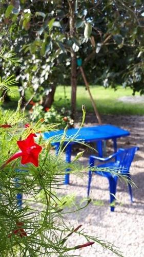 Алахадзи: Guest house Tomilo on Primorskaya ulitsa
