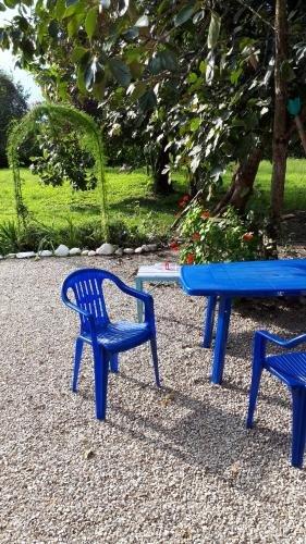 Алахадзи: Guest house Tomilo on Primorskaya ulitsa