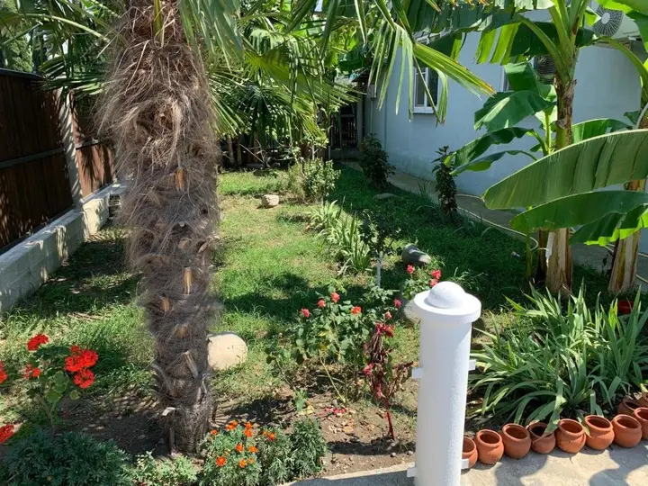 Алахадзи: Guest house Khutorok