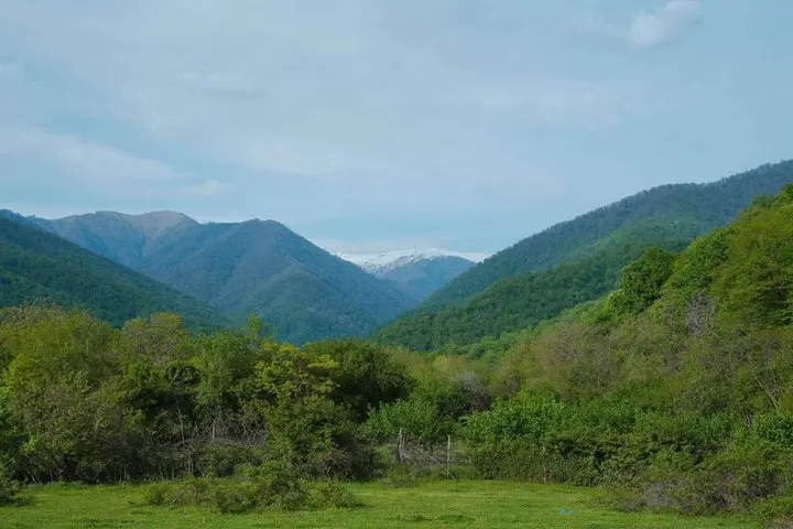 Кварели: Отель Tilia Kvareli Resort