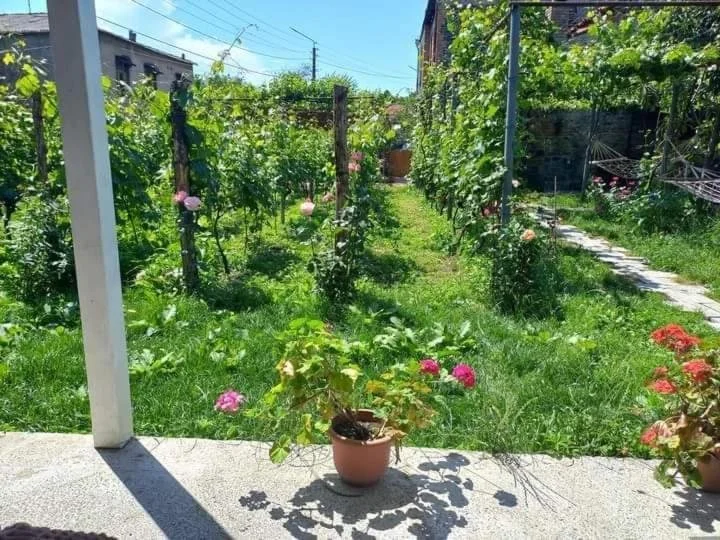 Кварели: Cottage and Gigo Papa's Wine Cellar